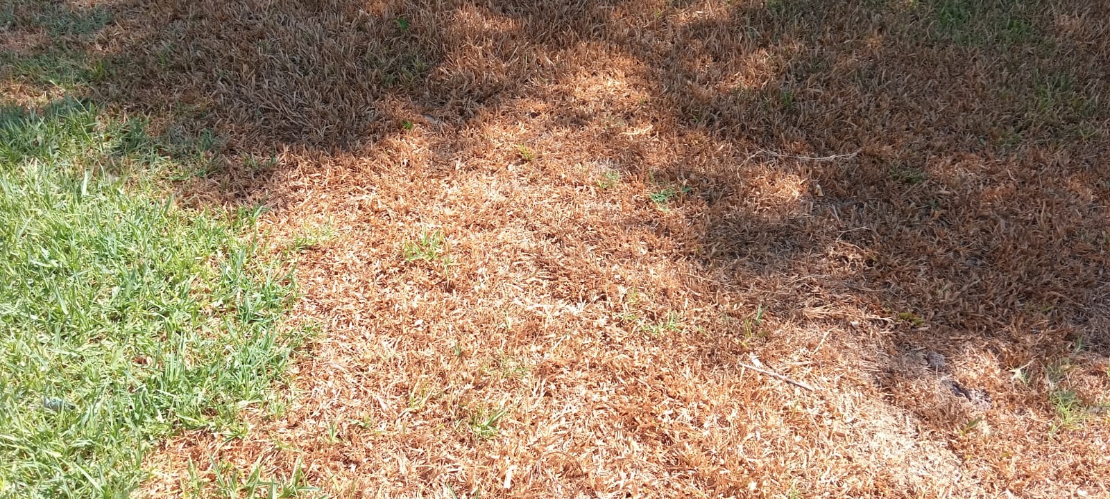 Calor extremo en Funes: la Muni enciende la alarma por incendios y pide colaboración